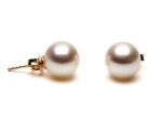 Zuchtperlen Ohrstecker 8.0 - 9.0 mm in 750 Gelbgold