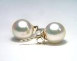 Ohrstecker mit Akoyaperlen 8.0 - 8.5 mm