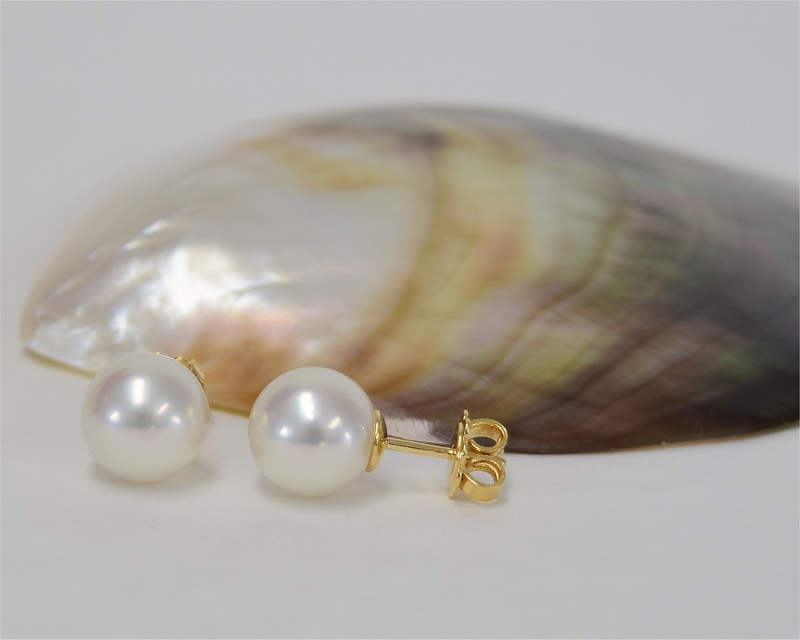 Südsee Perlenohrringe sicher online kaufen